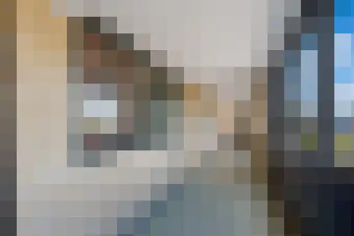 Eilandplein 222 Duiven thumbnail 11
