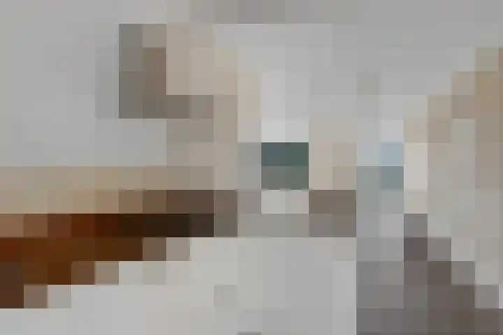 Eilandplein 222 Duiven thumbnail 27
