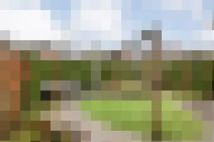 Eimbrink 10 Kampen thumbnail 39