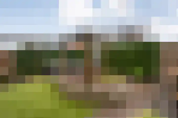 Eimbrink 10 Kampen thumbnail 41
