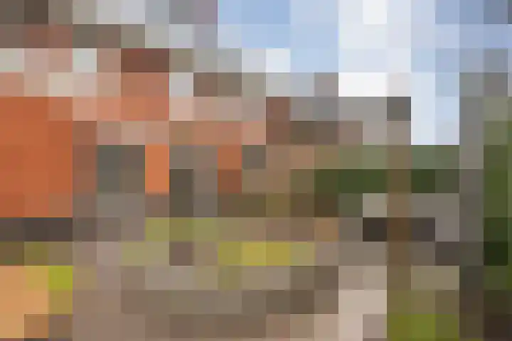 Eimbrink 10 Kampen thumbnail 42