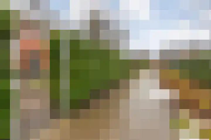 Eimbrink 10 Kampen thumbnail 45