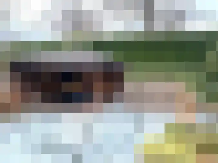 Eiment 19 Volkel foto 2