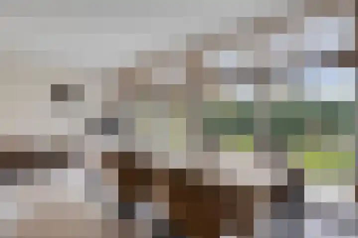 Eimerick 2 Eindhoven thumbnail 21