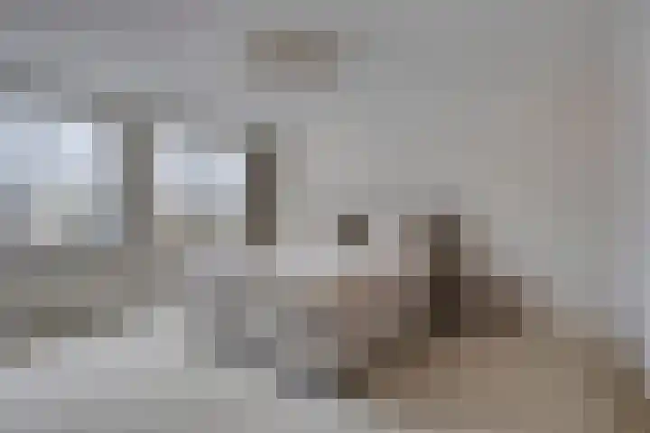 Eimerick 2 Eindhoven thumbnail 24