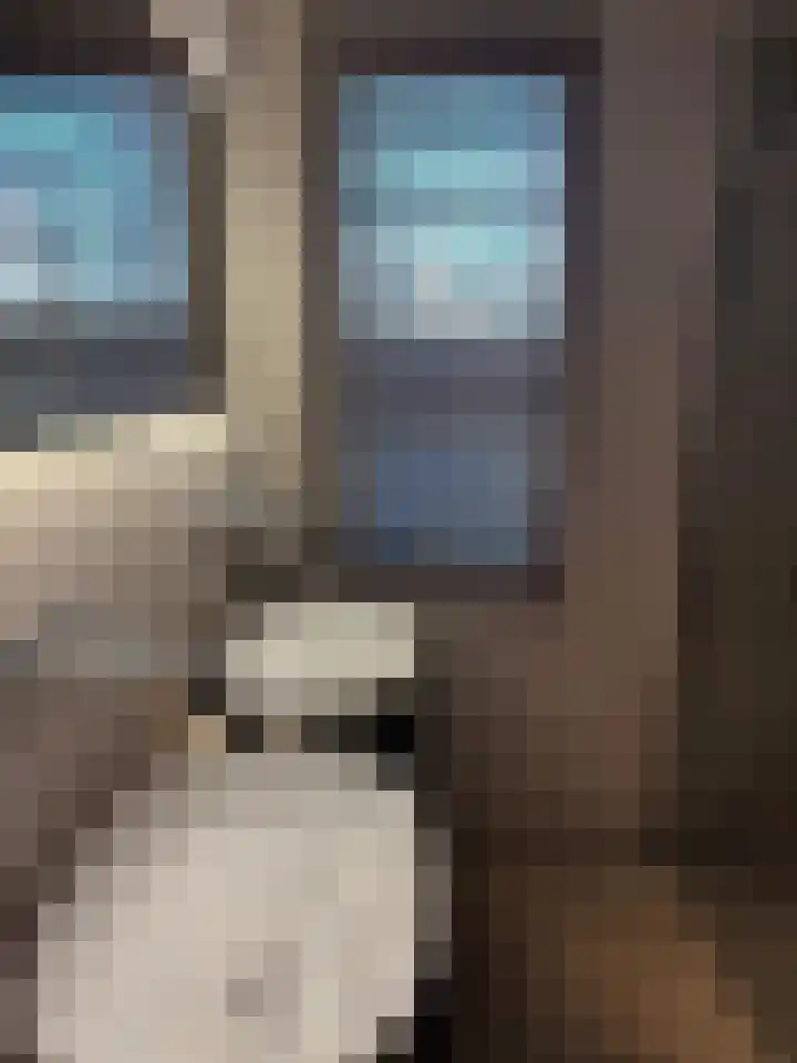 Eimerick 2 Eindhoven thumbnail 27