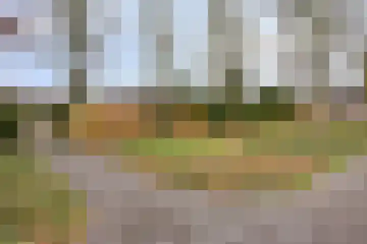 Eimerick 2 Eindhoven foto 3