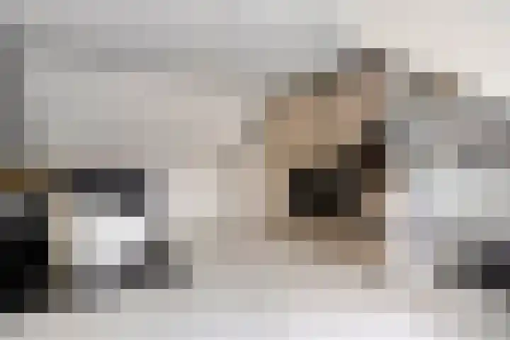 Eimerick 2 Eindhoven thumbnail 33