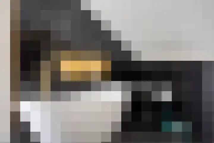 Eimerick 2 Eindhoven thumbnail 36