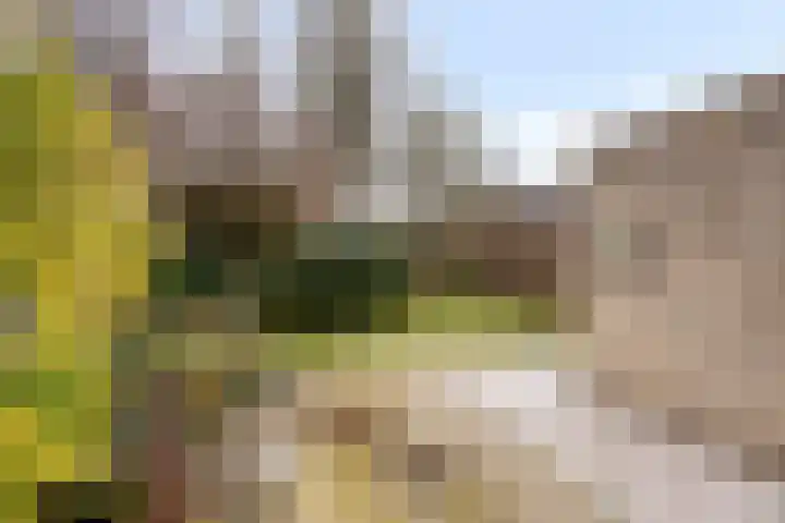 Eimerick 2 Eindhoven thumbnail 38