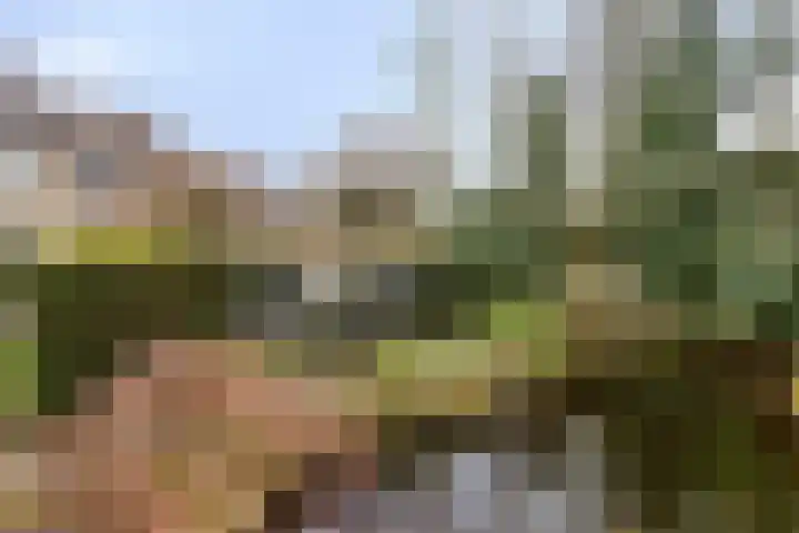 Eimerick 2 Eindhoven thumbnail 40