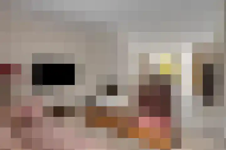 Eimerick 2 Eindhoven thumbnail 9