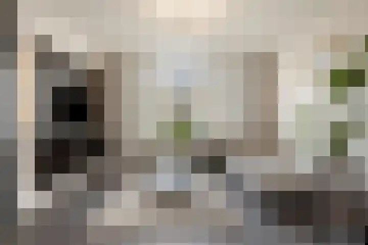 Eimerick 32 Eindhoven foto 2