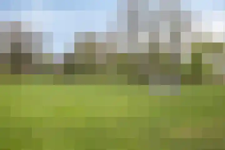 Eimerick 32 Eindhoven thumbnail 31