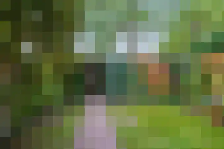 Eimerick 75 Eindhoven thumbnail 48