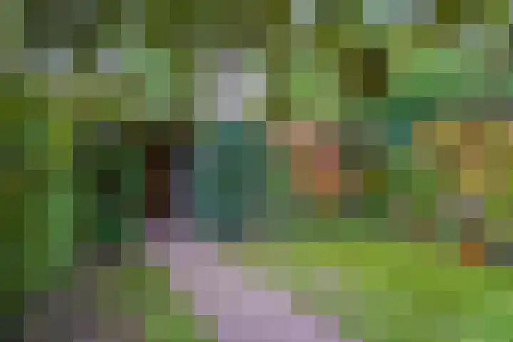 Eimerick 75 Eindhoven thumbnail 49