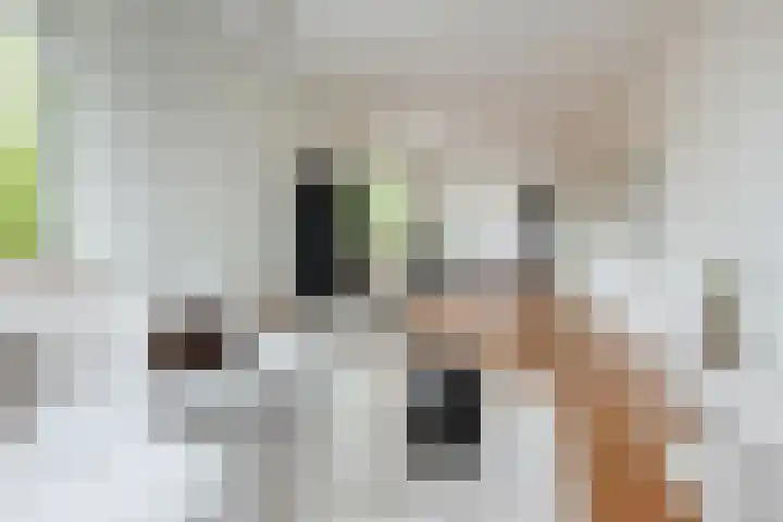 Eimerick 75 Eindhoven thumbnail 5