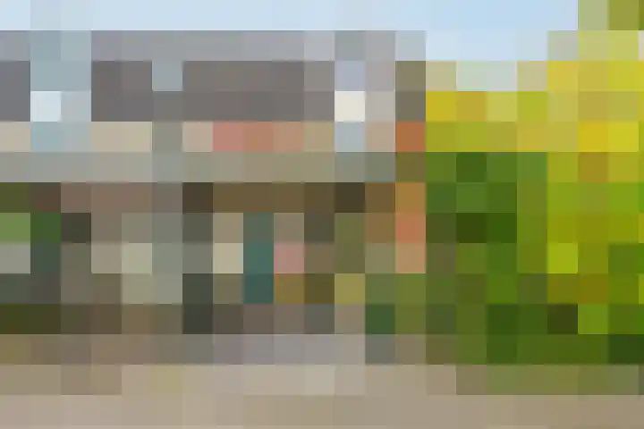 Eimerick 75 Eindhoven thumbnail 5