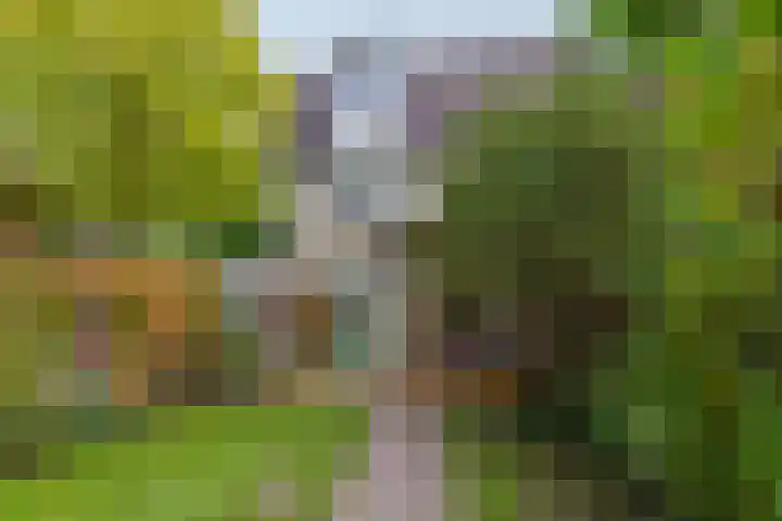 Eimerick 75 Eindhoven thumbnail 50