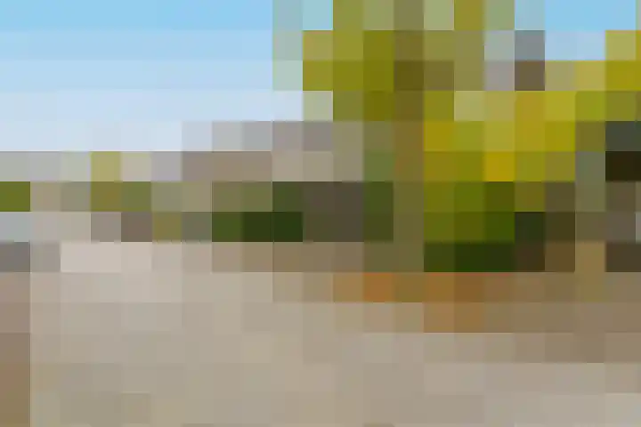 Eimerick 75 Eindhoven thumbnail 7