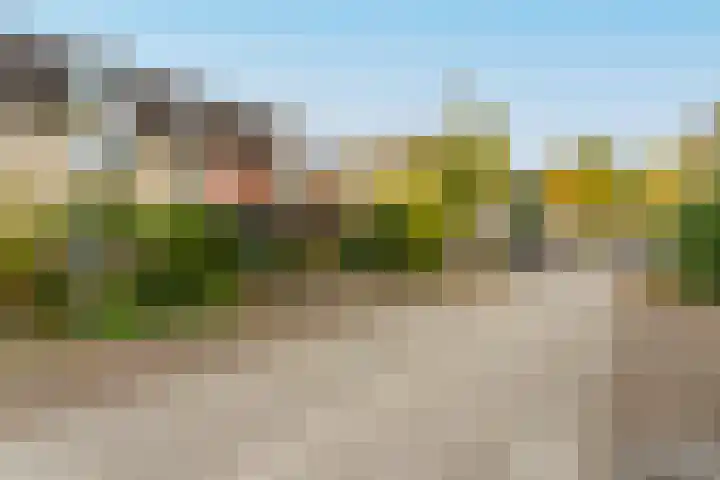 Eimerick 75 Eindhoven thumbnail 8