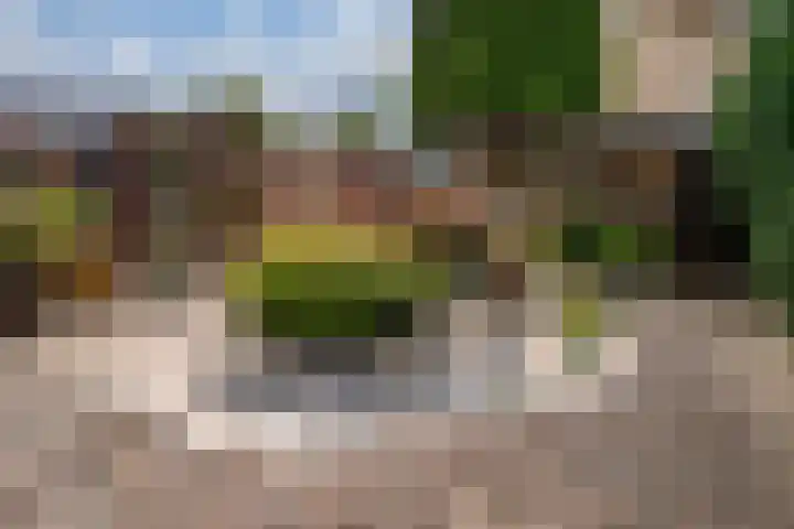 Eimerssingel-West 38 Arnhem thumbnail 16