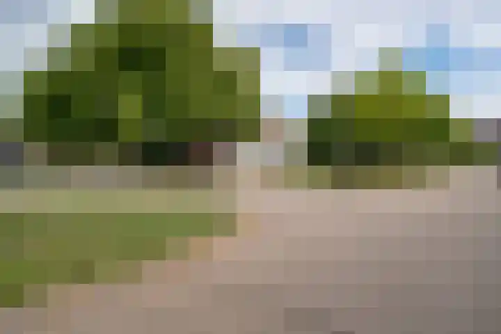 Eimerssingel-West 38 Arnhem thumbnail 36