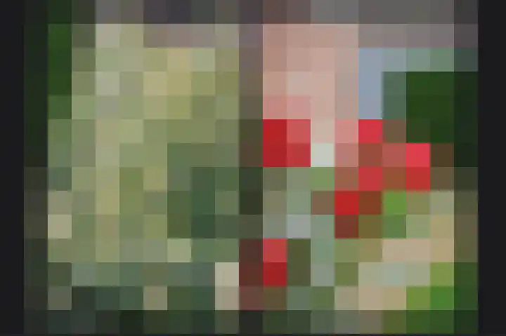 Eind 1 Ochten thumbnail 29