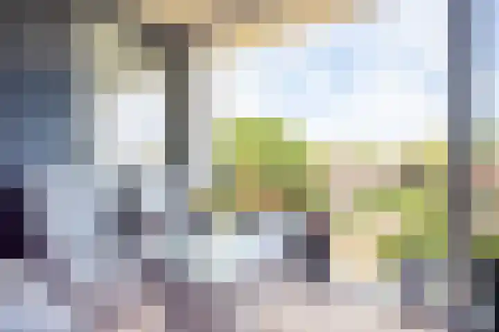 Eind 1 Ochten thumbnail 46