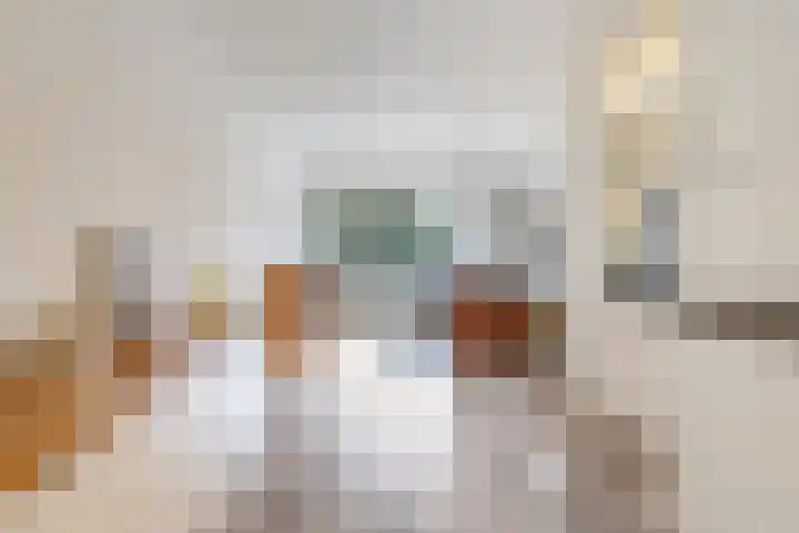 Eindakkers 4 Dodewaard thumbnail 10