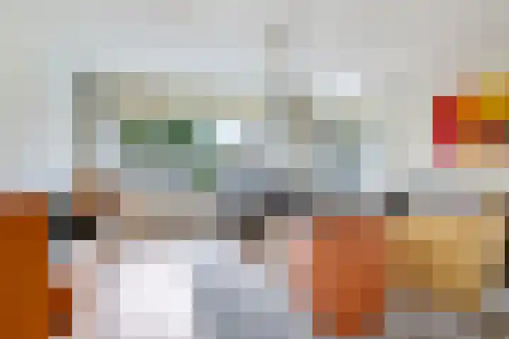 Eindakkers 4 Dodewaard thumbnail 11