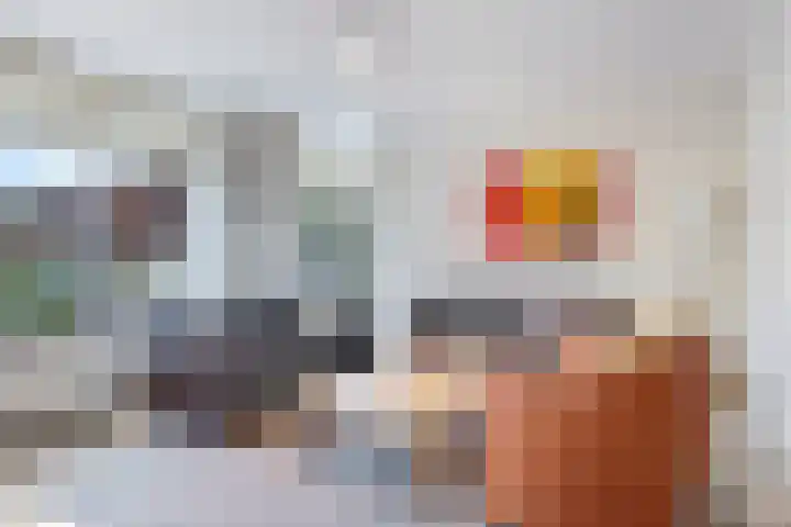 Eindakkers 4 Dodewaard thumbnail 12