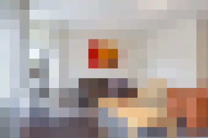 Eindakkers 4 Dodewaard thumbnail 13