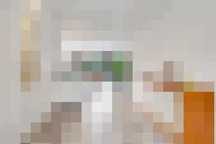Eindakkers 4 Dodewaard thumbnail 15
