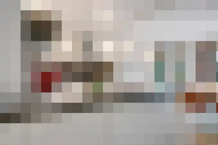 Eindakkers 4 Dodewaard thumbnail 17