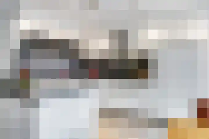 Eindakkers 4 Dodewaard thumbnail 18