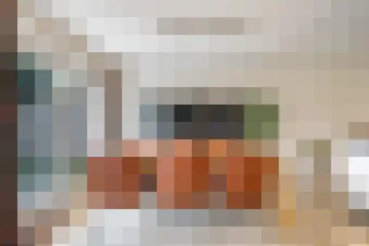 Eindakkers 4 Dodewaard thumbnail 19