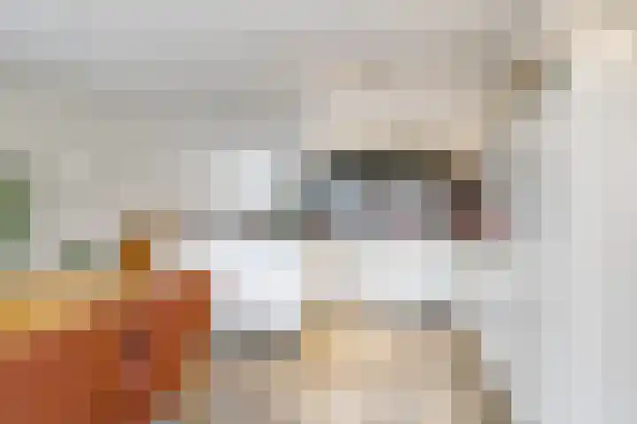 Eindakkers 4 Dodewaard thumbnail 20