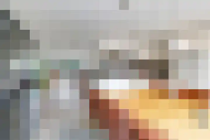 Eindakkers 4 Dodewaard thumbnail 21