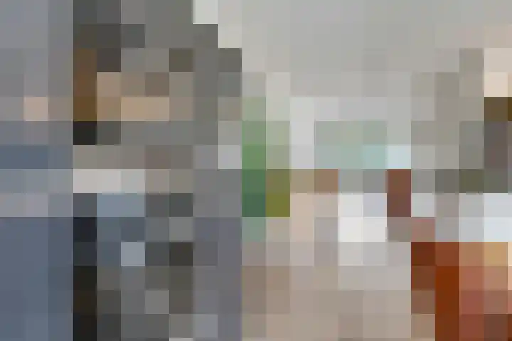Eindakkers 4 Dodewaard thumbnail 23