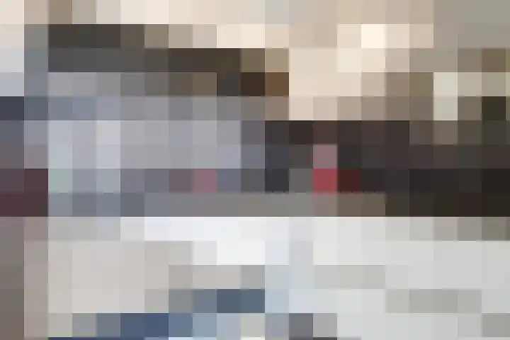 Eindakkers 4 Dodewaard thumbnail 24