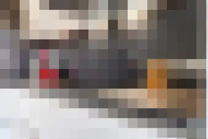 Eindakkers 4 Dodewaard thumbnail 25