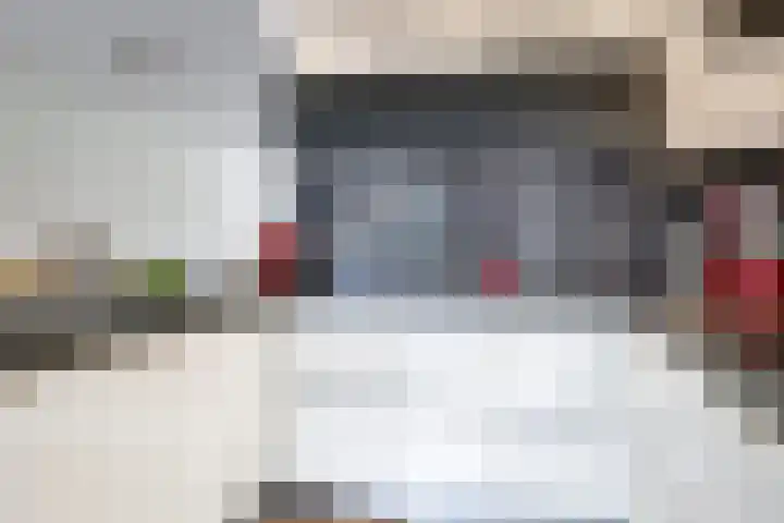 Eindakkers 4 Dodewaard thumbnail 26