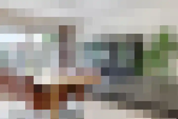 Eindakkers 4 Dodewaard thumbnail 27