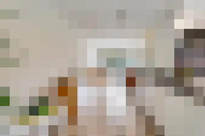 Eindakkers 4 Dodewaard thumbnail 28