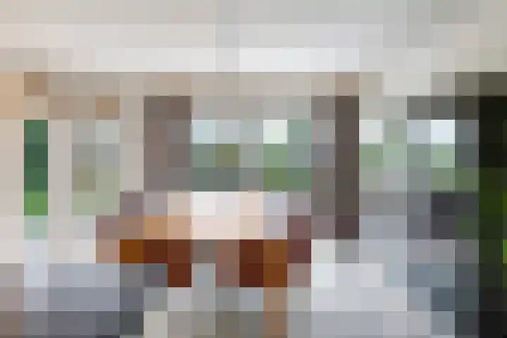 Eindakkers 4 Dodewaard thumbnail 29