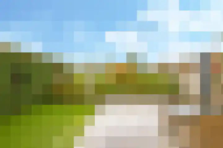 Eindakkers 4 Dodewaard foto 3
