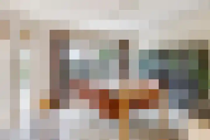 Eindakkers 4 Dodewaard thumbnail 30
