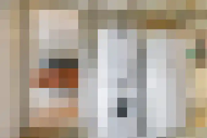 Eindakkers 4 Dodewaard thumbnail 31