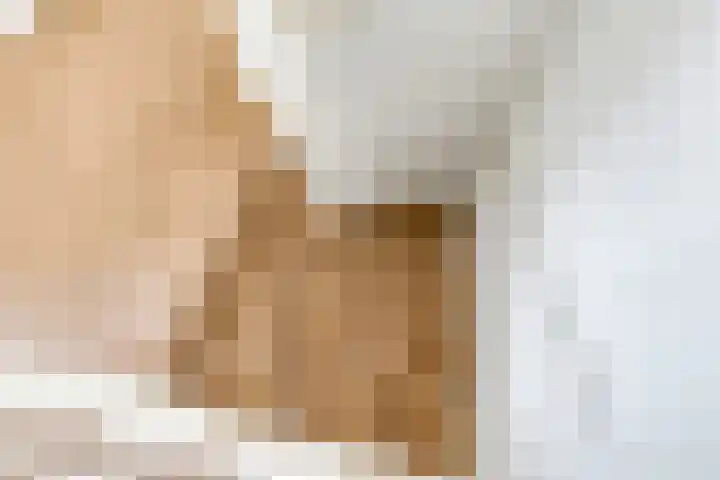 Eindakkers 4 Dodewaard thumbnail 33